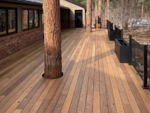 A wooden deck built around several large tree trunks, with black metal railings and rectangular planters along the edge. The deck is attached to a brick and metal-sided building in a wooded area.