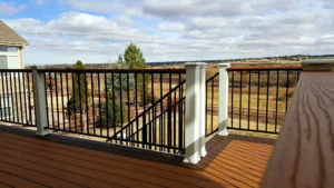 A wooden deck with black and white railing overlooks a grassy open field, trees, and a cloudy sky. Shadows from the railing fall across the deck’s surface.